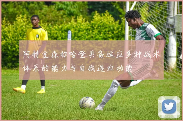 阿特金森称哈登具备适应多种战术体系的能力与自我造血功能