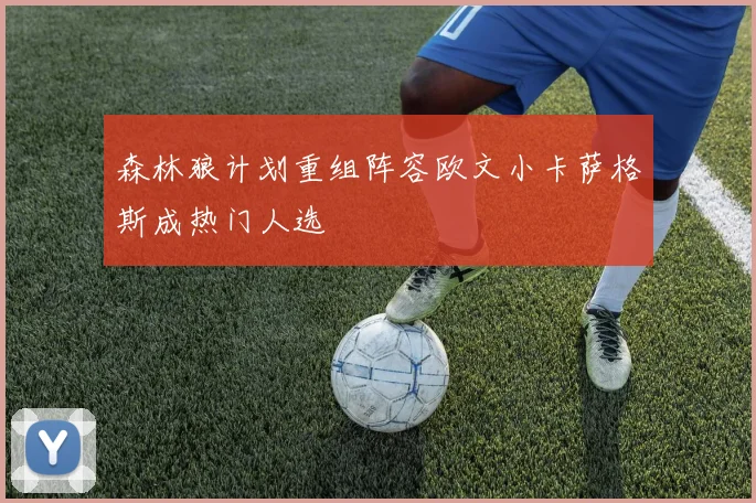 森林狼计划重组阵容欧文小卡萨格斯成热门人选